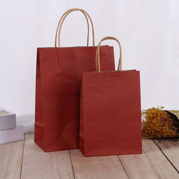 Custom Luxury Gift Paper Bag Twisted Handle Shopping Paper Bag