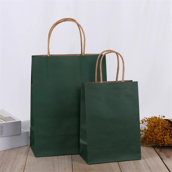 Custom Luxury Gift Paper Bag Twisted Handle Shopping Paper Bag