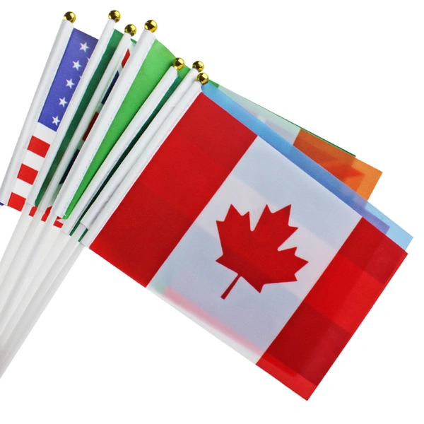 National Day Celebration International Match National Hand Flag