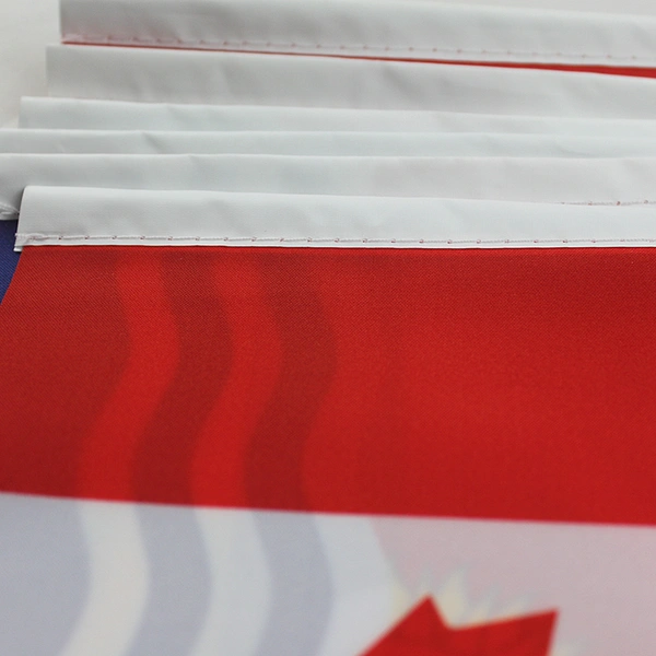 National Day Celebration International Match National Hand Flag