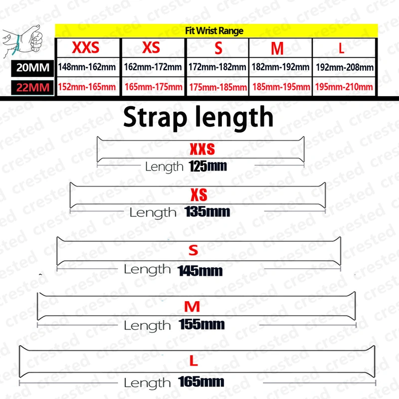 20mm 22mm Braided Watch Band Watch Strap for Samsung Galaxy Watch 5/4