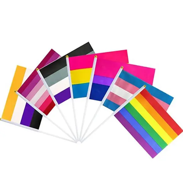 Waving Flags 14X21cm Gay Pride LGBT Rainbow Hand Flag