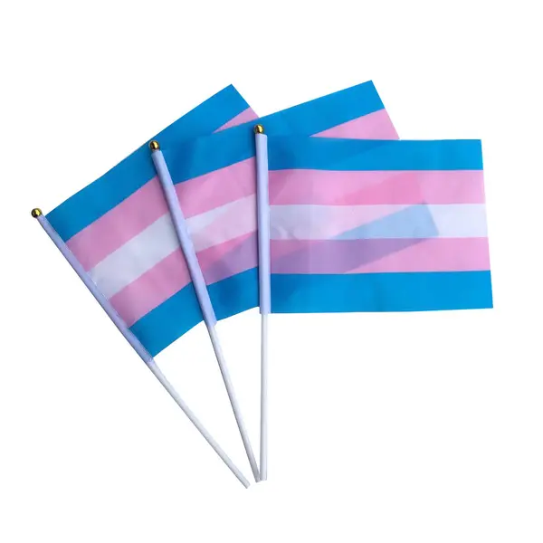 Waving Flags 14X21cm Gay Pride LGBT Rainbow Hand Flag