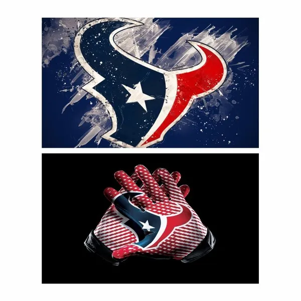 Custom Polyester Digital Printing 3x5ft NFL Team Oakland Raiders Flag