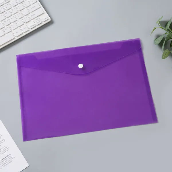 Custom Transparent Plastic File Bag Document Clear Bag