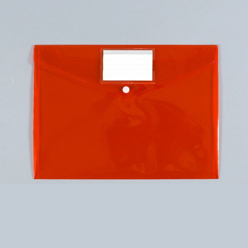 Custom Transparent Plastic A4 File Document Bag with White ID Card