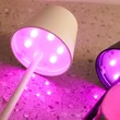 Lámpara de mesa inalámbrica rgb poldina recargable rsj-c003/r para restaurante