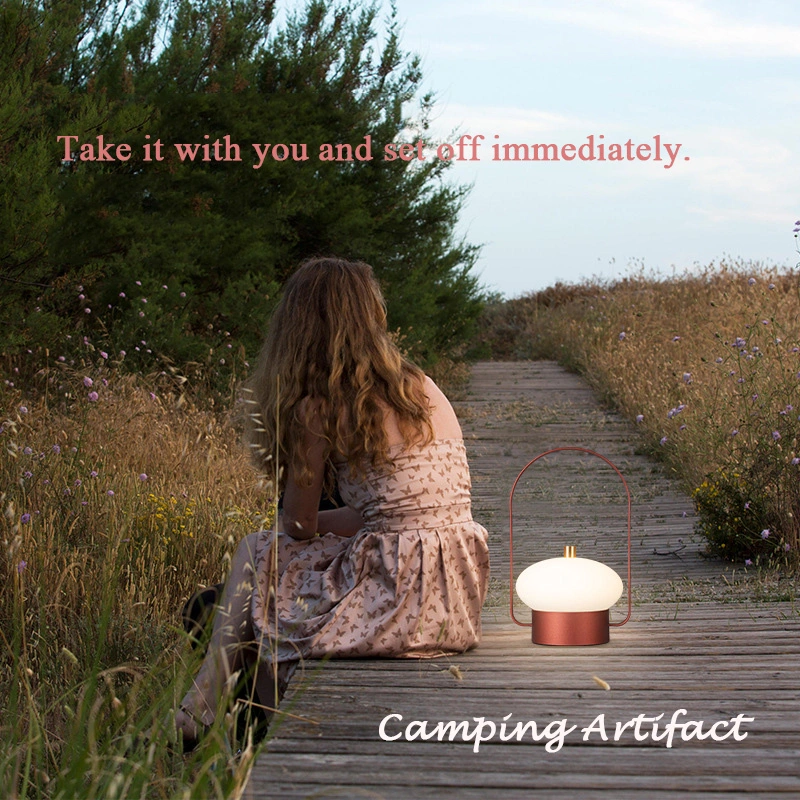 فانوس محمول باليد، مصباح ليلي للتخييم في الهواء الطلق قابل لإعادة الشحن