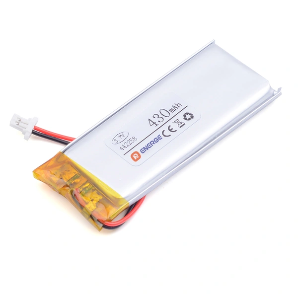rechargeable lithium polymer battery | RayCell