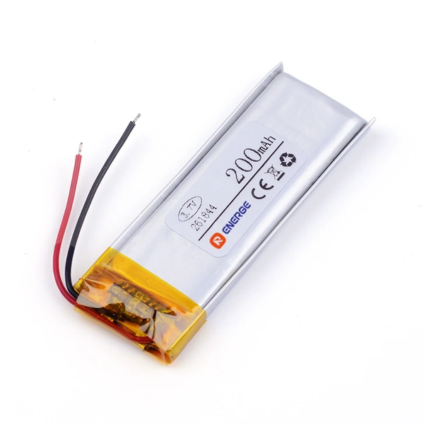 rechargeable lithium polymer battery | RayCell