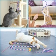 cat toys for indoor cats kittens 