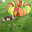 Cat Toys Assortment for Indoor Cats Kittens Kitty 