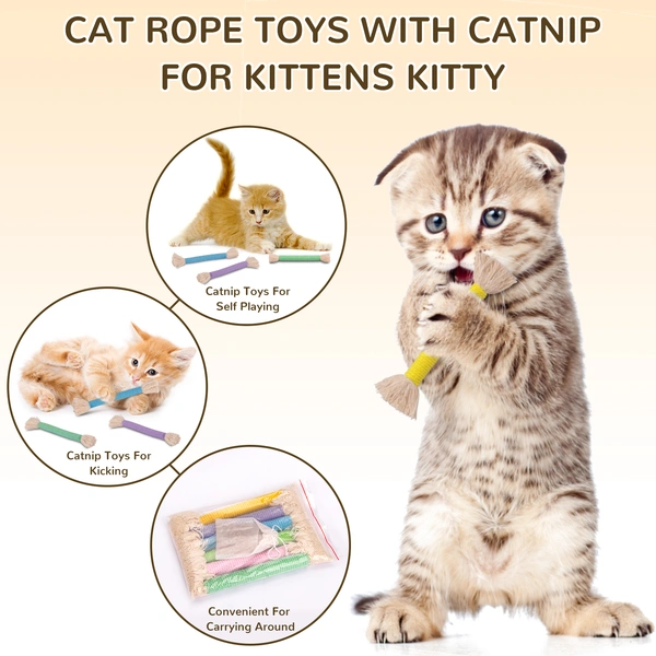 catnip cat toys for indoor cats kittens