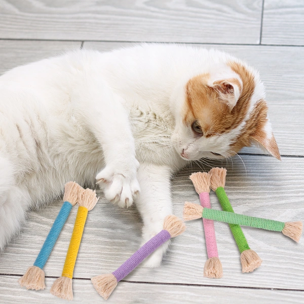 catnip cat toys for indoor cats kittens