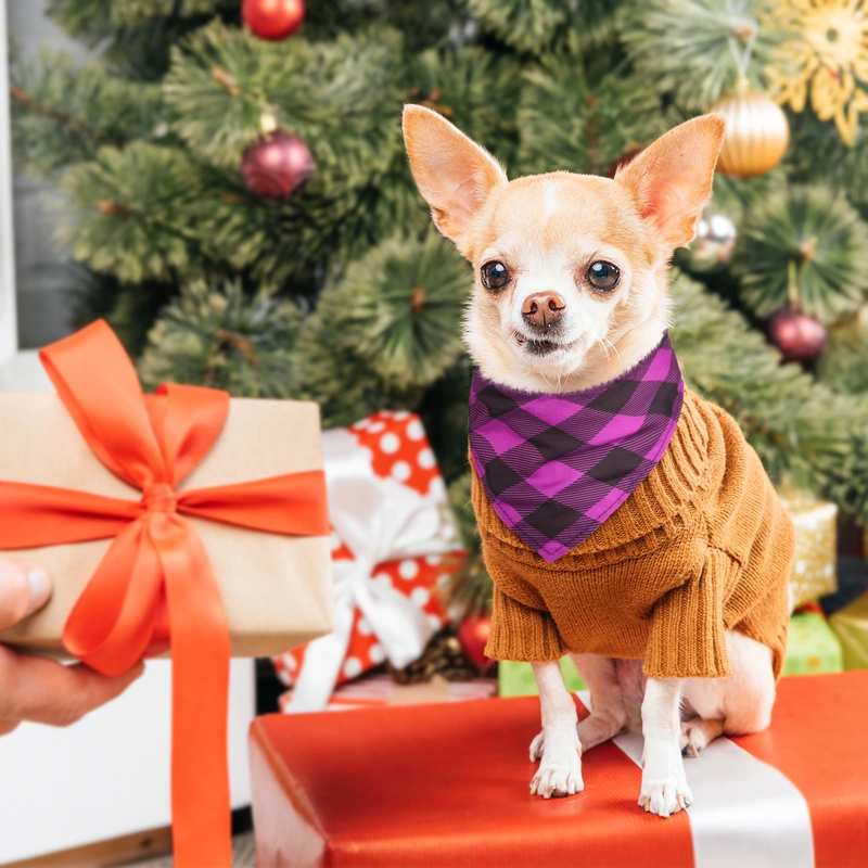 dog bandanas for puppy small medium large dogs