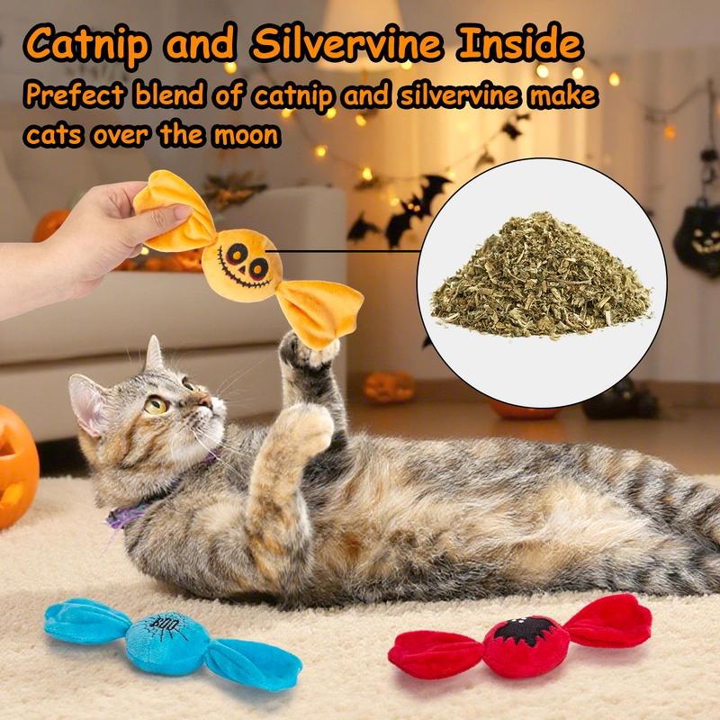 Trick or Treat for Halloween Kitten Toys, Catnip Crinkly Sound Cat Toys, Interactive Indoor Kitty Kicker for All Breeds