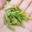  special grade  green  tea