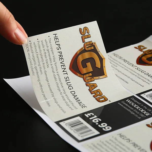 彩印包装|服装包装盒-深圳荣典包装科技有限公司官网