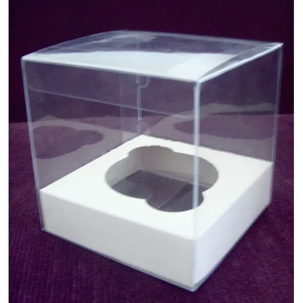 最好的塑料透明宠物 pvc 塑料盒供应商、制造商、工厂 - 定制塑料批发 |rodiant