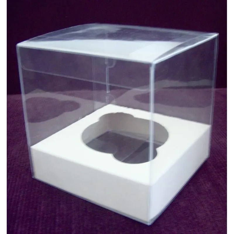 最好的塑料透明宠物 pvc 塑料盒供应商、制造商、工厂 - 定制塑料批发 |rodiant