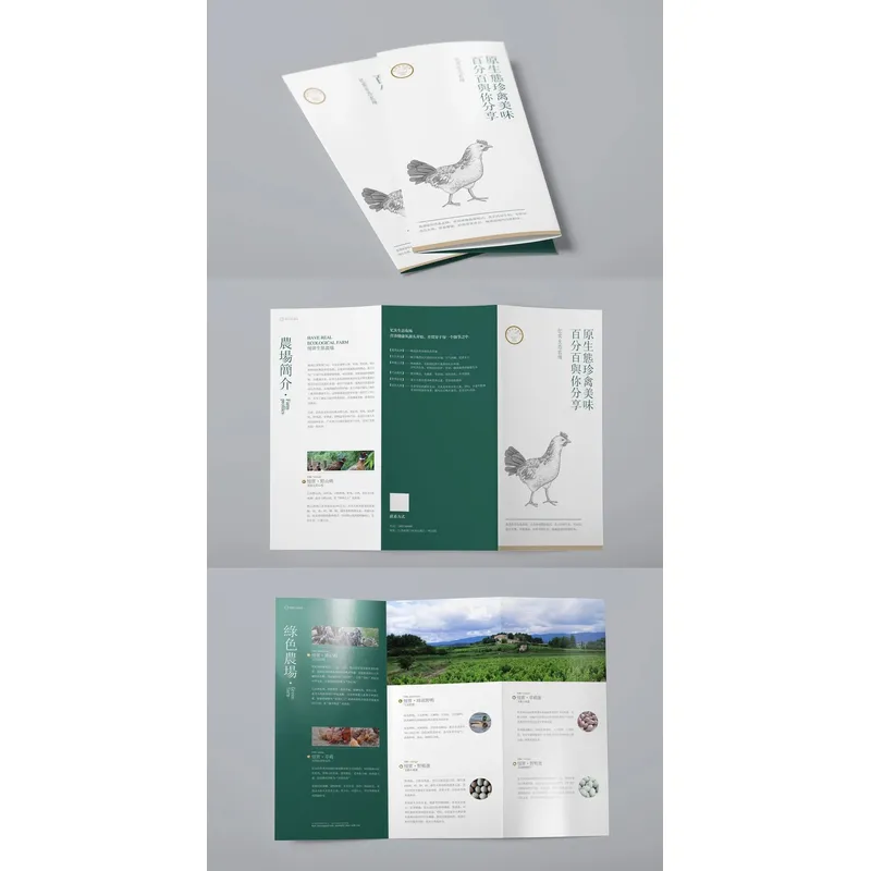 纸盒包装厂_可变码印刷_可变数据印刷_包装盒印刷_包装印刷厂—荣典包装