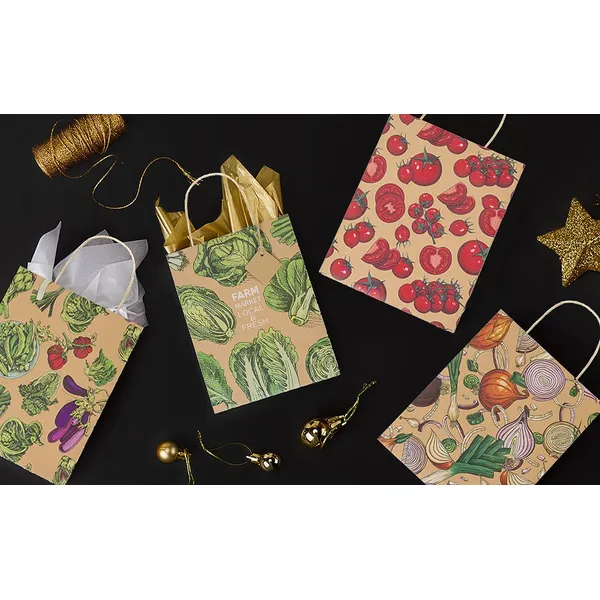 广东宣传手提袋印刷厂_手提袋印刷_荣典包装