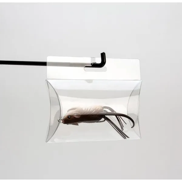 China Cosmetic Blister Tray Suppliers, Manufacturers, Factory - Customized Cosmetic Blister Tray Wholesale - Free Sample - |Shenzhen Rodiant Packing&Printing Co., Ltd - Page 5