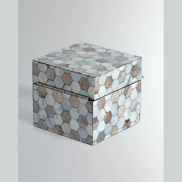 最好的塑料透明宠物 pvc 塑料盒供应商、制造商、工厂 - 定制塑料批发 |rodiant