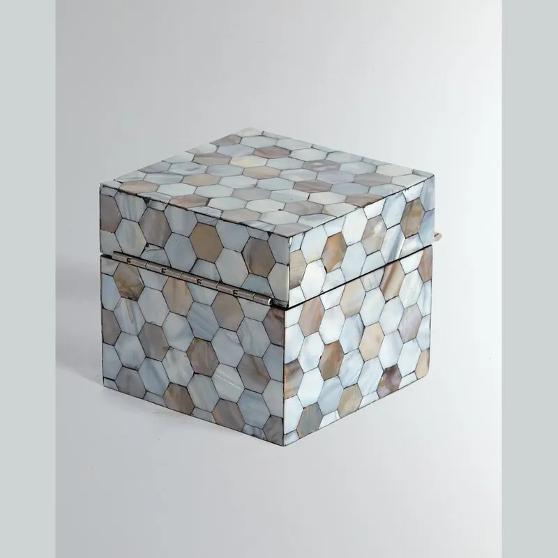 最好的塑料透明宠物 pvc 塑料盒供应商、制造商、工厂 - 定制塑料批发 |rodiant