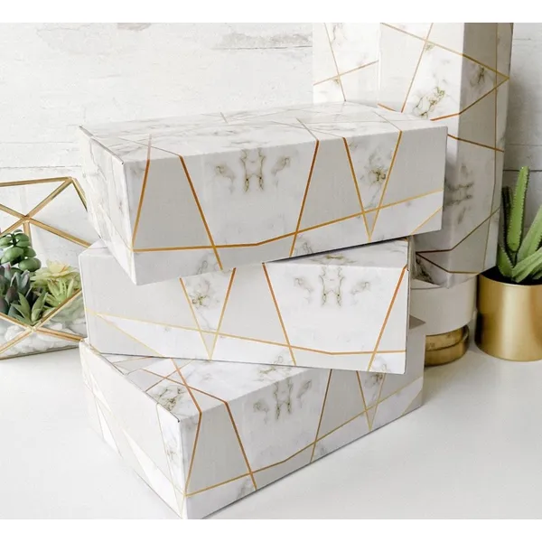 最好的塑料透明宠物 pvc 塑料盒供应商、制造商、工厂 - 定制塑料批发 |rodiant