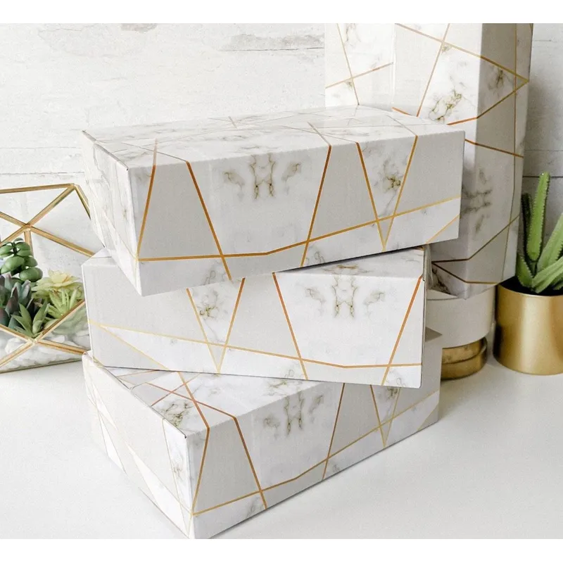 最好的塑料透明宠物 pvc 塑料盒供应商、制造商、工厂 - 定制塑料批发 |rodiant