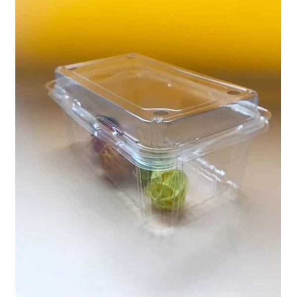 Eco Friendly Clamshell Food Containers PET PVC Plastic Box Suppliers, Manufacturers, Factory - Customized Plastic |Rodiant