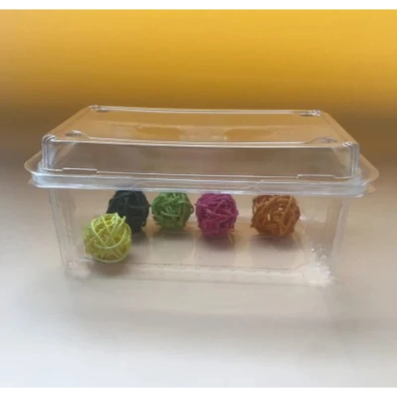 Eco Friendly Clamshell Food Containers PET PVC Plastic Box Suppliers, Manufacturers, Factory - Customized Plastic |Rodiant