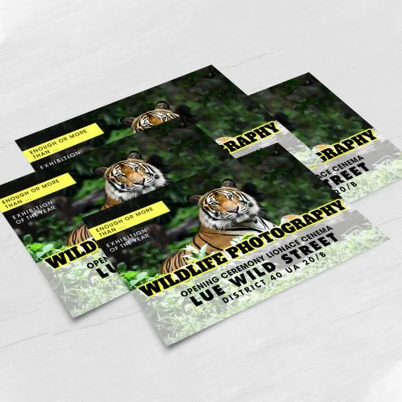 Custom Pearl Metallic Postcard  Packaging Printing Manufacturer|Rodiant