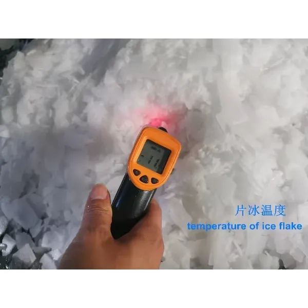 Industrial Flake Ice Machine 10 15 20 30 40 50 100 Ton Flake Ice Making Machine China Manufacturer Supply Ice Maker for Sale