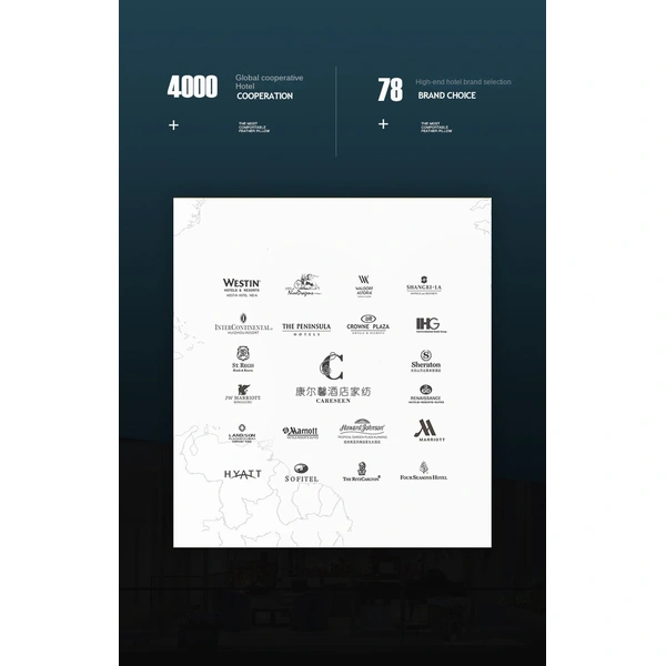 Fast Shipping Soft Fill Down Hilton Pillow 1000g for Hotel & Home