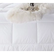 400GMS Hollow Fiber Filling Comforter Duvet Insert for Cold Winter