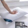 Fast Shipping Soft Fill Down Hilton Pillow 1000g for Hotel & Home