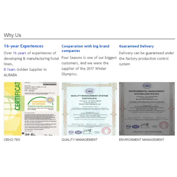 Luxury White Duck Down Duvet Set