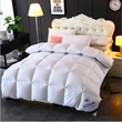 Hilton Hotel Downfall Autumn & Winter Quilt - Ideal for Students and Dormitories