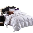 Luxury All-Season Cotton Duvet Insert