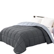 Cozy Lightweight King Comforter - All Season