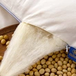 Hilton Soybean Quilt - Luxury Duvet for All Seasons