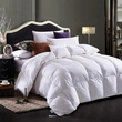 Luxury All-Season Cotton Duvet Insert