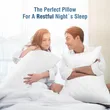 Medium Firm Down Bed Pillows - Set of 2