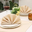 Elegant French Pattern Napkin Cloth for Restaurants and Events