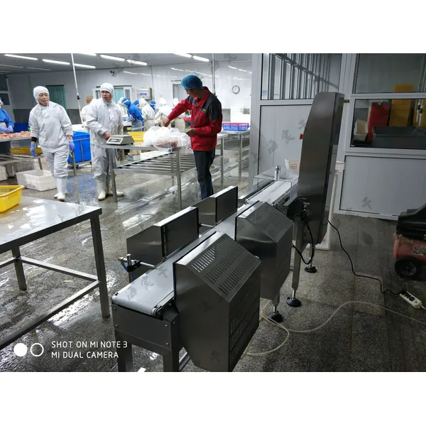 Small Bottle Medicine Multi-level Sorting Checkweigher,Epidemic Prevention Drug Weight Sorting Scale