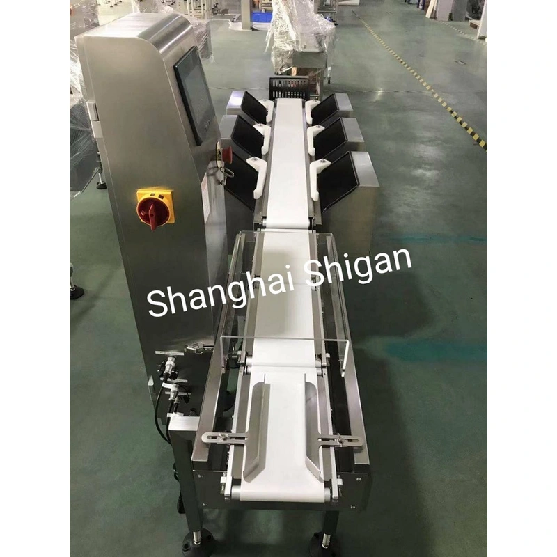 Sound and Light Alarm Multi-Level Checkweigher