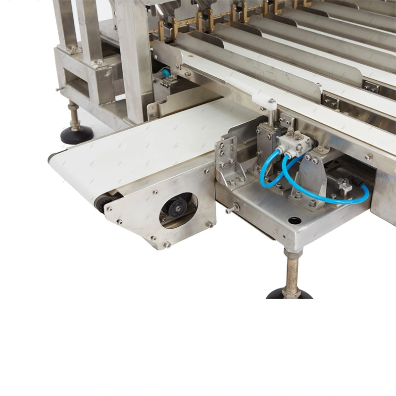 10-Lane Checkweigher,High-Speed Multi-Column Checkweigher,Efficient Small Checkweigher