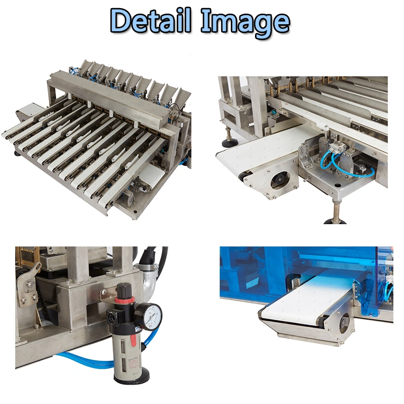 Individual Stick Pack Multi Lane Check Weigher For Dairy industry,Multi Lane Automatic Intelligent Control Weight Checker